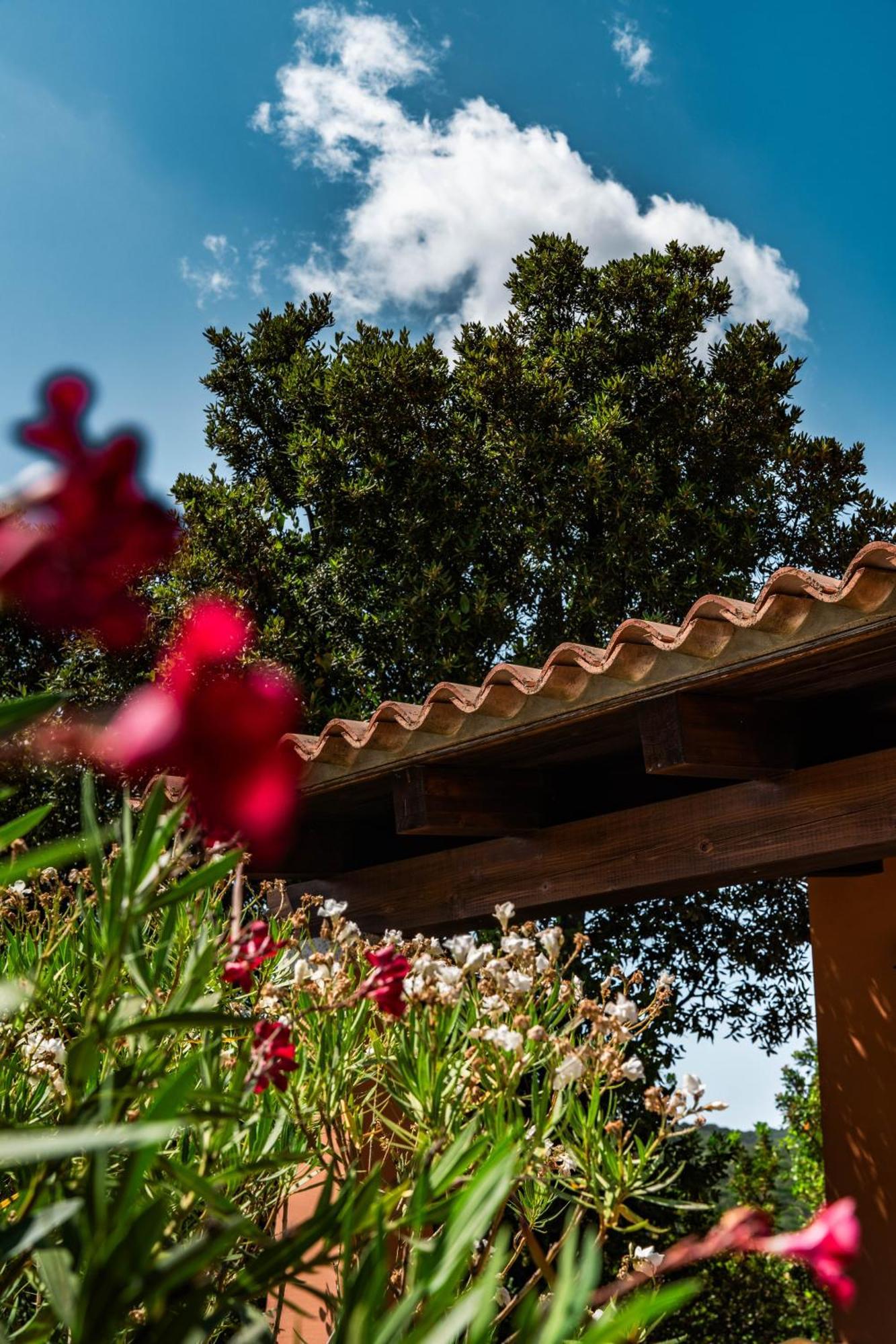 Casagliana Suite Resort Olbia Exteriér fotografie
