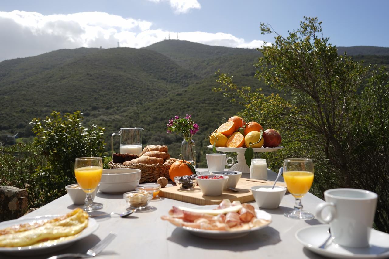 Casagliana Suite Resort Olbia Exteriér fotografie